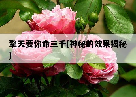 擎天要你命三千，神秘的效果揭秘-圖1