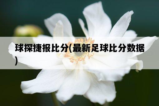 球探捷報比分，最新足球比分數據-圖1