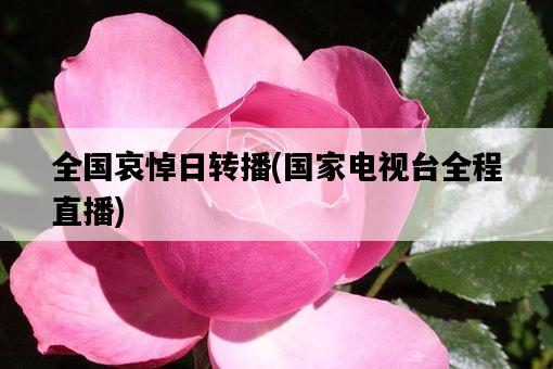 全國哀悼日轉播，國家電視臺全程直播-圖1