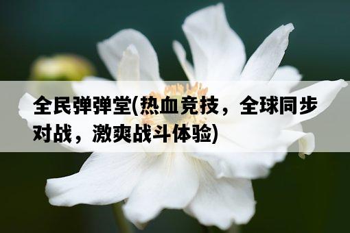 全民彈彈堂，熱血競技，全球同步對戰，激爽戰斗體驗-圖1