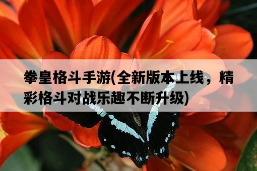 拳皇格斗手游，全新版本上線，精彩格斗對戰樂趣不斷升級-圖1