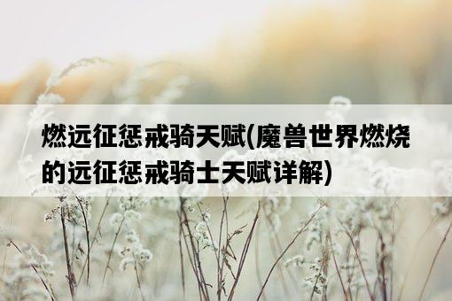 燃遠征懲戒騎天賦，魔獸世界燃燒的遠征懲戒騎士天賦詳解-圖1