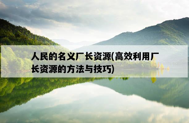 人民的名義廠長資源，高效利用廠長資源的方法與技巧-圖1