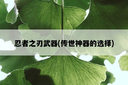 忍者之刃武器，傳世神器的選擇-圖1