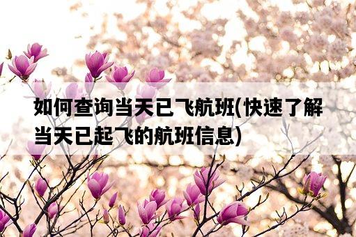 如何查詢當天已飛航班，快速了解當天已起飛的航班信息-圖1