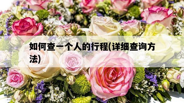 如何查一個人的行程，詳細查詢方法-圖1
