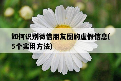 如何識別微信朋友圈的虛假信息，5個實用方法-圖1