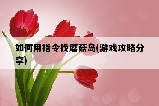 如何用指令找蘑菇島，游戲攻略分享-圖1