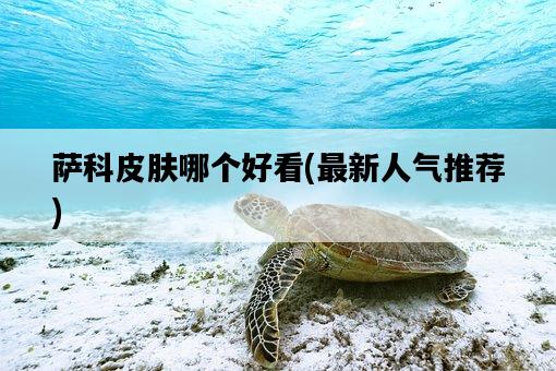 薩科皮膚哪個好看，最新人氣推薦-圖1