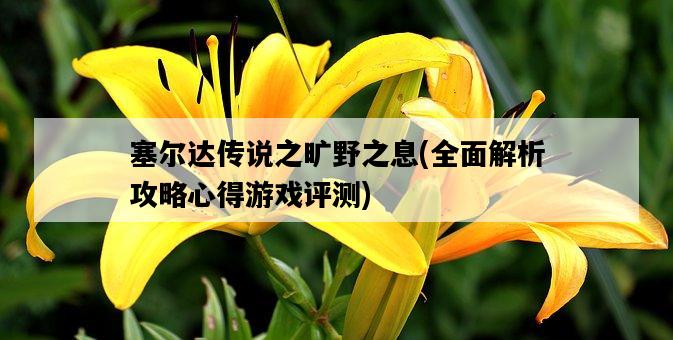 塞爾達傳說之曠野之息，全面解析攻略心得游戲評測-圖1
