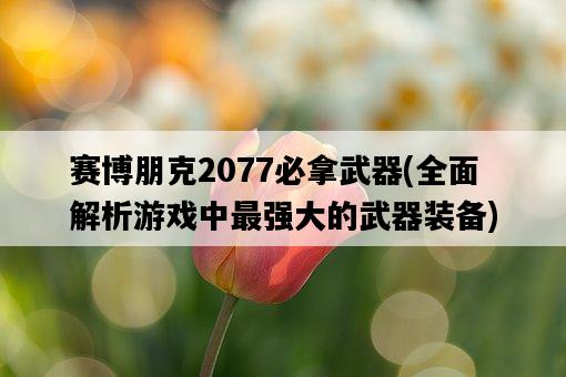 賽博朋克2077必拿武器，全面解析游戲中最強大的武器裝備-圖1