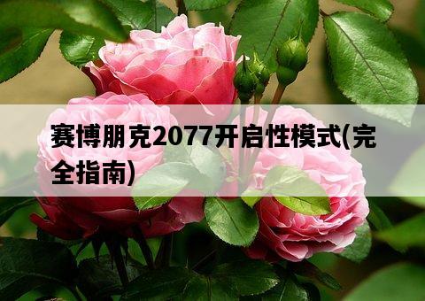 賽博朋克2077開啟性模式，完全指南-圖1