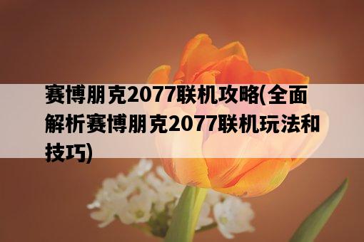 賽博朋克2077聯機攻略，全面解析賽博朋克2077聯機玩法和技巧-圖1