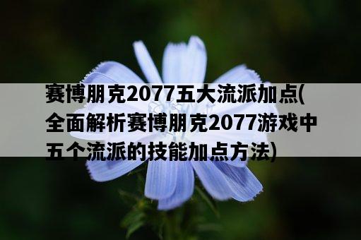 賽博朋克2077五大流派加點，全面解析賽博朋克2077游戲中五個流派的技能加點方法-圖1