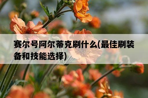 賽爾號阿爾蒂克刷什么，最佳刷裝備和技能選擇-圖1