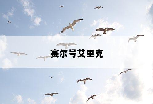 賽爾號艾里克-圖1