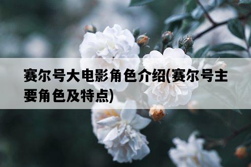 賽爾號大電影角色介紹，賽爾號主要角色及特點-圖1