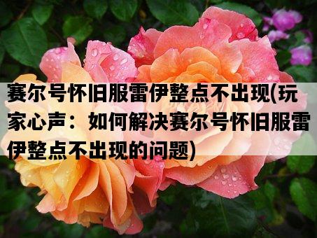 賽爾號懷舊服雷伊整點不出現，玩家心聲：如何解決賽爾號懷舊服雷伊整點不出現的問題-圖1