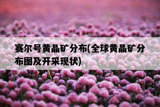 賽爾號黃晶礦分布，全球黃晶礦分布圖及開采現狀-圖1
