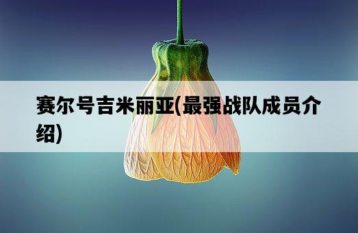 賽爾號吉米麗亞，最強戰隊成員介紹-圖1