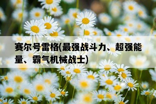賽爾號雷格，最強戰斗力、超強能量、霸氣機械戰士-圖1