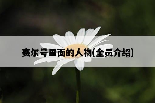 賽爾號里面的人物，全員介紹-圖1