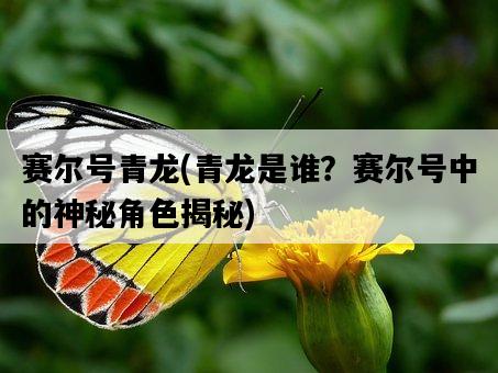 賽爾號青龍，青龍是誰？賽爾號中的神秘角色揭秘-圖1