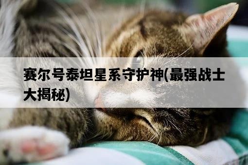 賽爾號泰坦星系守護神，最強戰士大揭秘-圖1