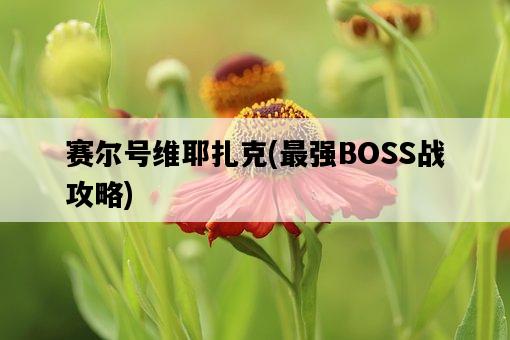 賽爾號維耶扎克，最強BOSS戰攻略-圖1