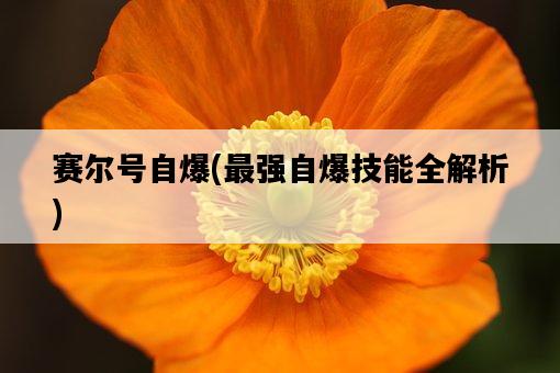 賽爾號自爆，最強自爆技能全解析-圖1