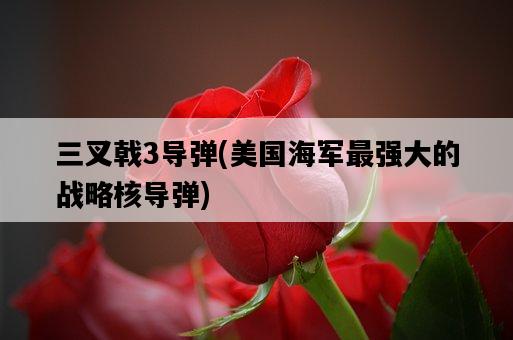 三叉戟3導彈，**海軍最強大的戰略核導彈-圖1