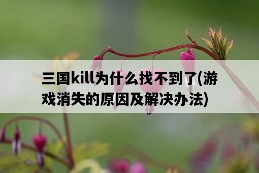 三國kill為什么找不到了，游戲消失的原因及解決辦法-圖1