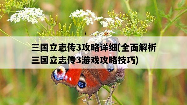 三國立志傳3攻略詳細，全面解析三國立志傳3游戲攻略技巧-圖1