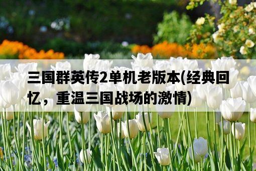 三國群英傳2單機老版本，經典回憶，重溫三國戰場的激情-圖1