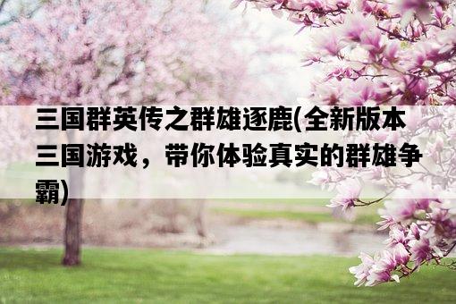 三國群英傳之群雄逐鹿，全新版本三國游戲，帶你體驗真實的群雄爭霸-圖1