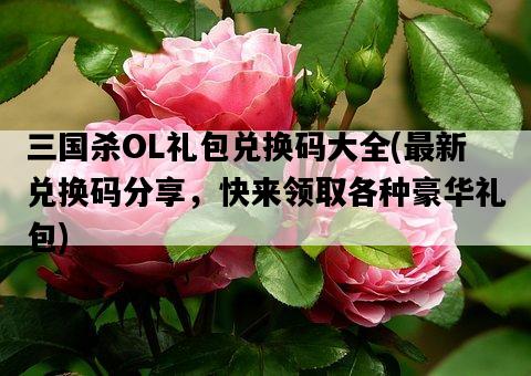 三國殺OL禮包兌換碼大全，最新兌換碼分享，快來領取各種豪華禮包-圖1