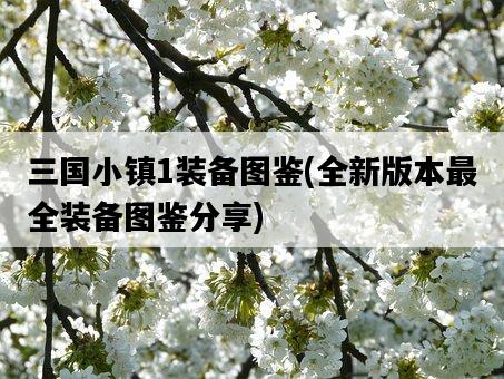三國小鎮1裝備圖鑒，全新版本最全裝備圖鑒分享-圖1