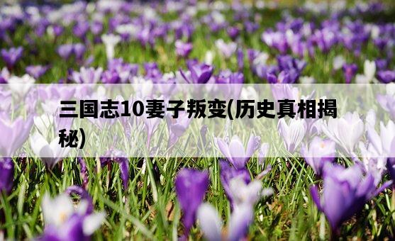 三國志10妻子叛變，歷史真相揭秘-圖1