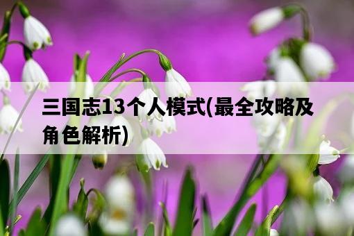 三國志13個人模式，最全攻略及角色解析-圖1