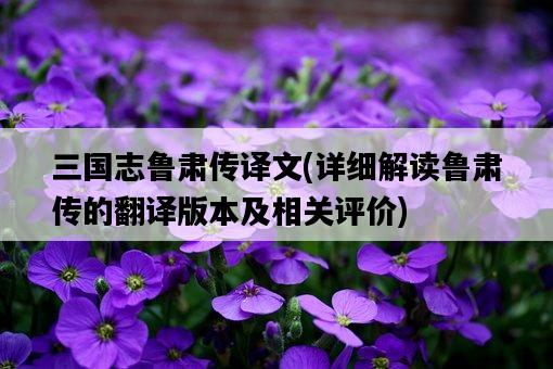 三國志魯肅傳譯文，詳細解讀魯肅傳的翻譯版本及相關評價-圖1