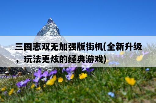三國志雙無加強版街機，全新升級，玩法更炫的經典游戲-圖1