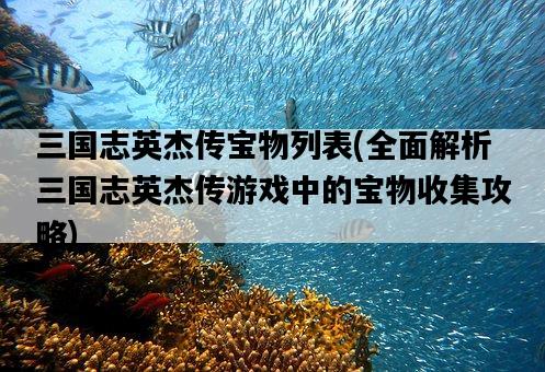 三國志英杰傳寶物列表，全面解析三國志英杰傳游戲中的寶物收集攻略-圖1