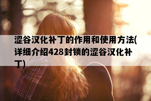澀谷漢化補丁的作用和使用方法，詳細介紹428封鎖的澀谷漢化補丁-圖1