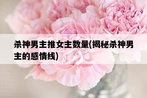 殺神男主推女主數量，揭秘殺神男主的感情線-圖1