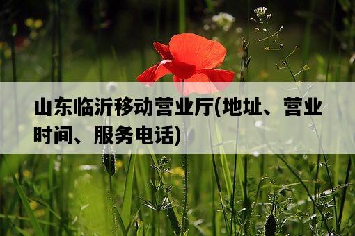 山東臨沂移動營業廳，地址、營業時間、服務電話-圖1