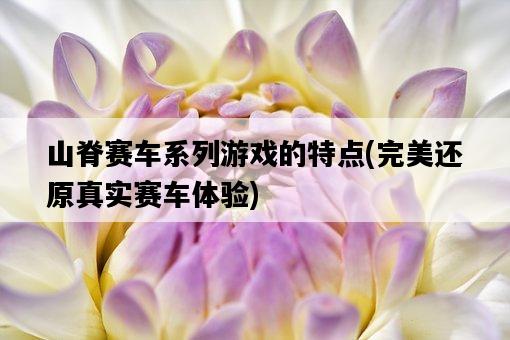 山脊賽車系列游戲的特點，完美還原真實賽車體驗-圖1