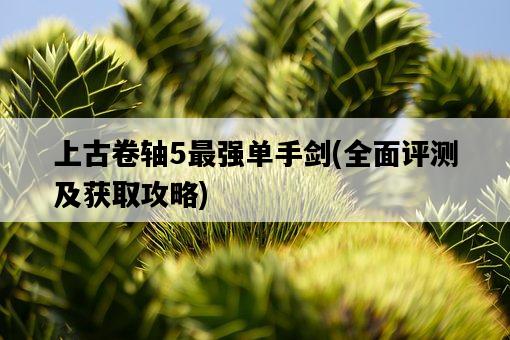 上古卷軸5最強單手劍，全面評測及獲取攻略-圖1