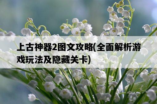 上古神器2圖文攻略，全面解析游戲玩法及隱藏關卡-圖1