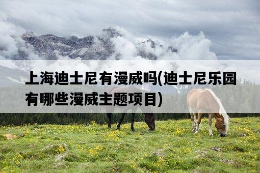 上海迪士尼有漫威嗎,迪士尼樂園有哪些漫威主題項目-圖1 上海迪士尼有漫威嗎,迪士尼樂園有哪些漫威主題項目-圖1