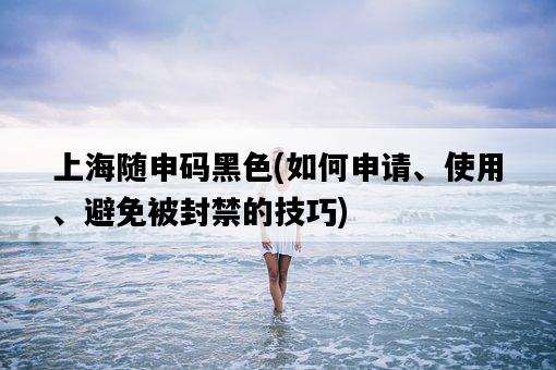 上海隨申碼黑色，如何申請、使用、避免被封禁的技巧-圖1